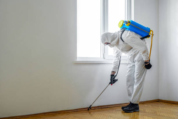 Best Real Estate Pest Inspections  in Millers Creek, NC